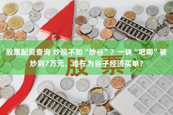 股票配资查询 炒股不如“炒谷”?一块“吧唧”被炒到7万元,谁在为谷子经济买单?
