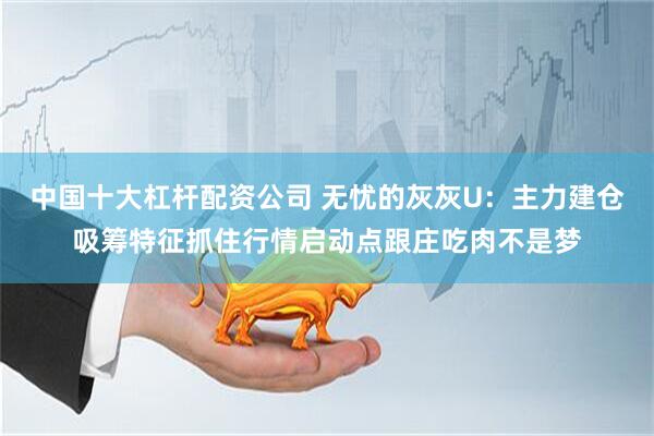 中国十大杠杆配资公司 无忧的灰灰U：主力建仓吸筹特征抓住行情启动点跟庄吃肉不是梦