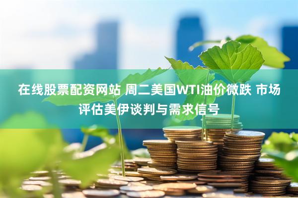 在线股票配资网站 周二美国WTI油价微跌 市场评估美伊谈判与需求信号